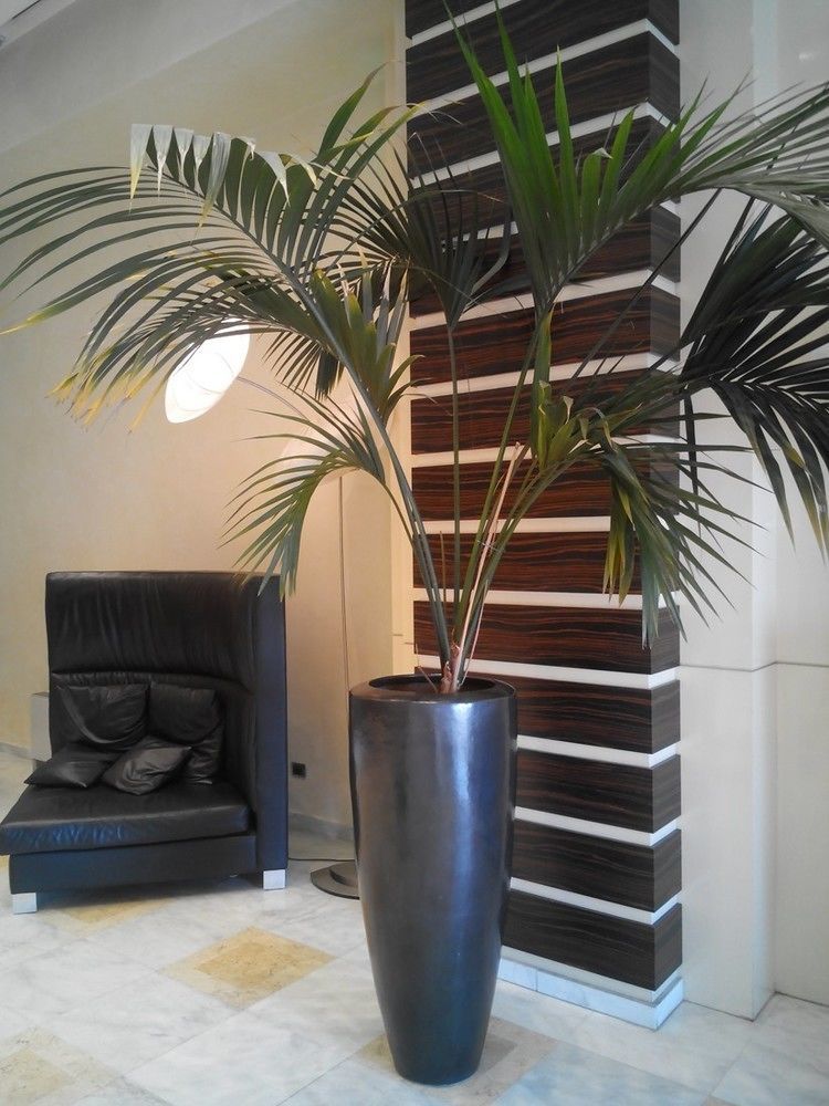 Papillo Hotels&Resorts Roma Esterno foto